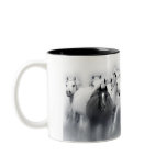 mug home run with arabian horse mares