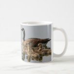 Mug / Lesser Canada Goose Brood Coffee Mugs