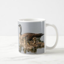 Mug / Lesser Canada Goose Brood Coffee Mugs