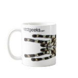 Mug - Poecilotheria regalis (Indian Ornamental)