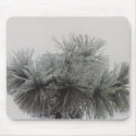 Mugo Pine - mousepad