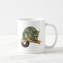 Mugs - cooroy possum