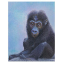 Muhali, Baby Gorilla Full Color Flyer