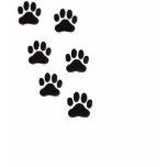 Muiltiple paw prints t-shirts