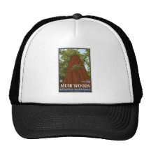 Muir Woods National Monument 3 Trucker Hat
