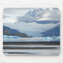 Muismat Antarctica