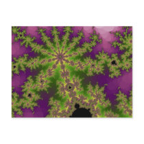 Mulberry Bush Postcard