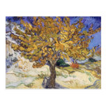 Mulberry Tree, 1889 Post Card