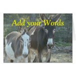 mule card-any occasion-customise