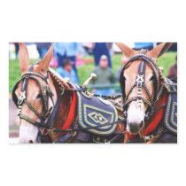 mule days rectangular stickers