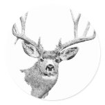 Mule Deer stickers