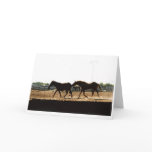 Mule & Horse Card