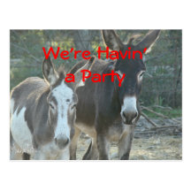 Mule Postcard-any occasion-customise