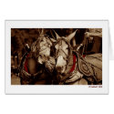 Mule Speak cards