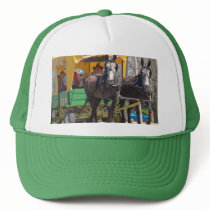 mules and donkeys 081