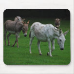 Mules And Donkeys Mousepad