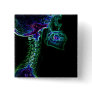 Multi Color C-spine X-ray square button