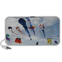 Multi Colour Kites Mp3 Speakers