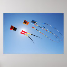 Multi Colour Long Tail Kites Posters