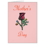 " Multi - Colour Roses...Greeting Card...