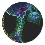 Multi-coloured C-spine sticker