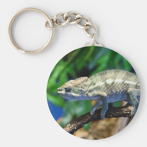 Multi-Coloured Chameleon 2 Keychain