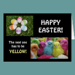 Multi-coloured Chicks cards