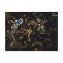 Multi Coloured Ink Patterns postcards