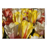 Multi-Coloured Tulips Avery Return Address Label Card