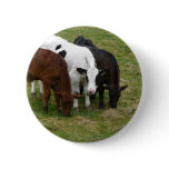 Multi-COW-tural Pinback Buttons