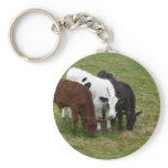 Multi-COW-tural Keychains