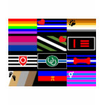 Multi-Pride Flags t-shirts