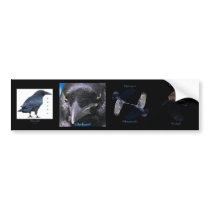 Multi-stickers III BLACK RAVEN Set Bumper Sticker