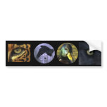 Multi-stickers VI WILD Set bumper stickers
