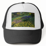 Multicolored garden with lawn path trucker hats