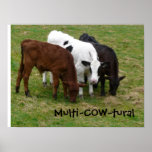 Multicultural? We're Multi-COW-tural!