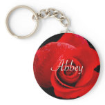 (multiple products selected) Abbey Key Chain