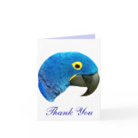(multiple products selected) Blue Parrot of Love_ cards