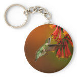 (multiple products selected) Hummingbird products Key Chains