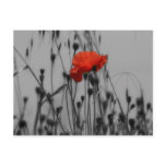 (multiple products selected)Poppy Post Cards