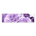 (multiple products selected) Purple Rose_ Bumper Sticker