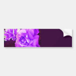 (multiple products selected) Purple Rose_ Bumper Sticker
