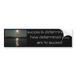 (multiple products selected)sucess bumper sticker