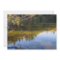 Multiple Reflections Invites