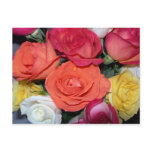 Multiple Roses postcards