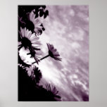 Multiples posters