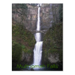 Multnomah Falls Travel Photo Postcard
