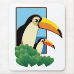 Mum and Baby Toucans