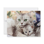 Mum and Son invitations