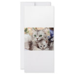 Mum and Son rack cards